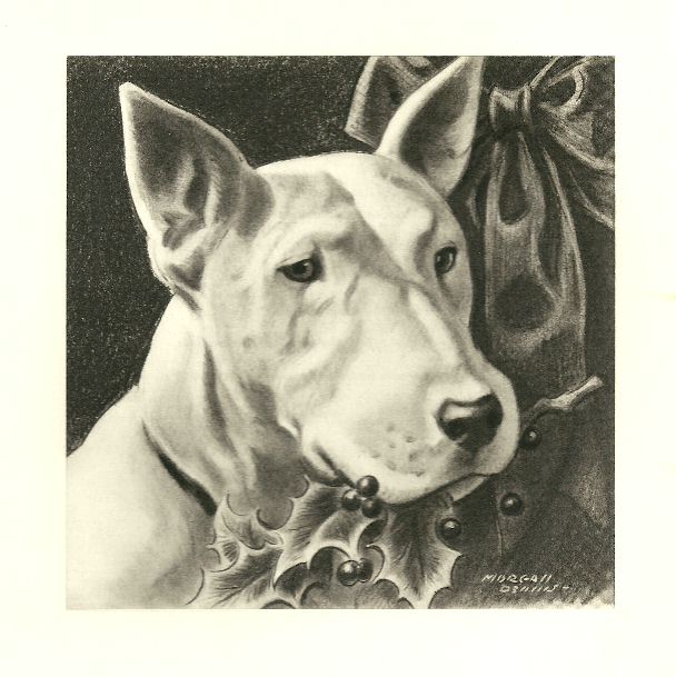 Bull Terrier Print   Morgan Dennis   